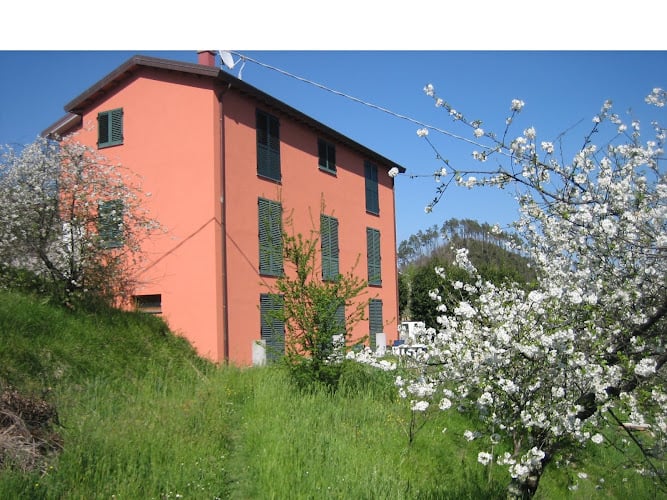 Agriturismo Casalino CITR 011003-AGR-0003