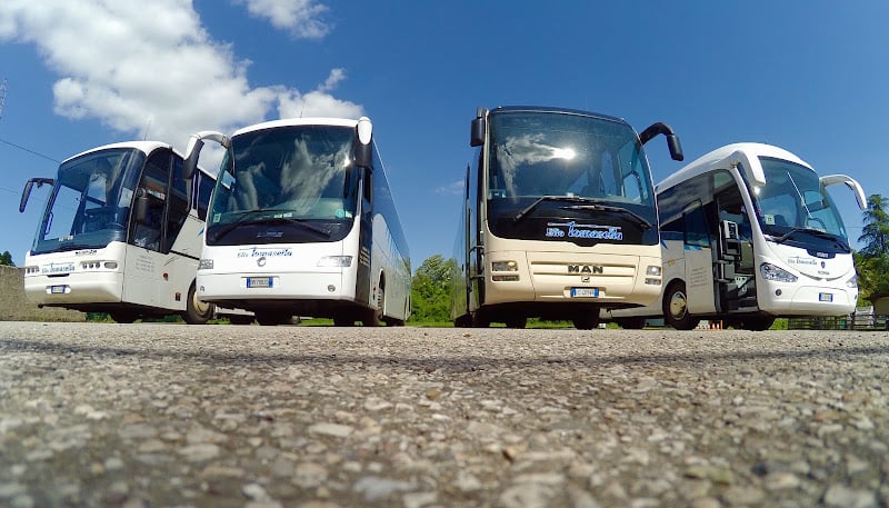Noleggio Autobus Carraro & Tomasella di Elio Tomasella