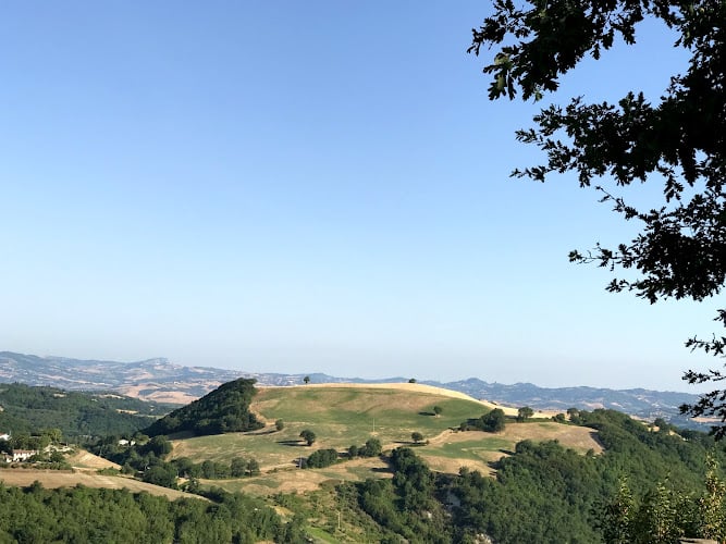 Gino Girolomoni Cooperativa Agricola