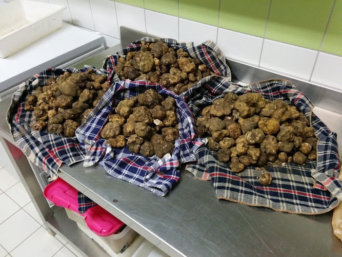 Tartufi Le Ife