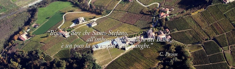 Tenuta Il Falchetto Azienda Agricola