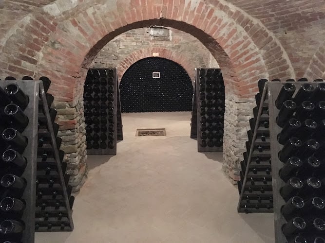 Gabriele Scaglione "Esperienze di Vigna"
