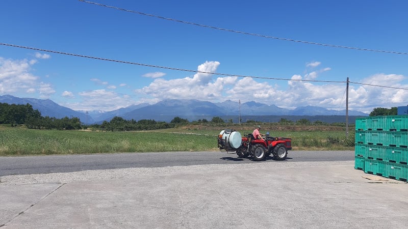 Cooperativa Cossano Frutta Soc.Coop.R.L.