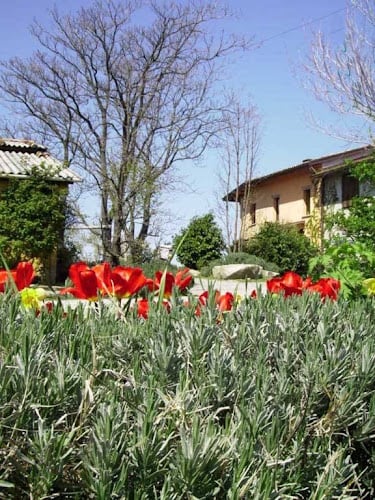 Agriturismo "Monte Genesio"