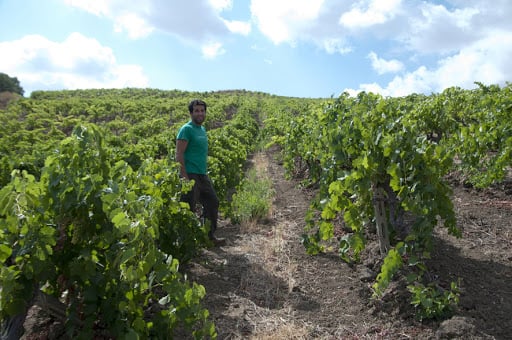 Valdibella Cooperativa Agricola