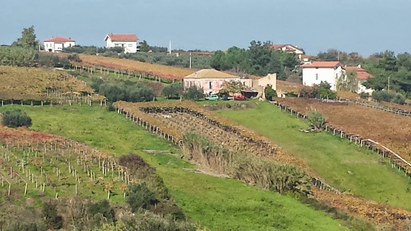Bed & Breakfast Stella dell'Adriatico