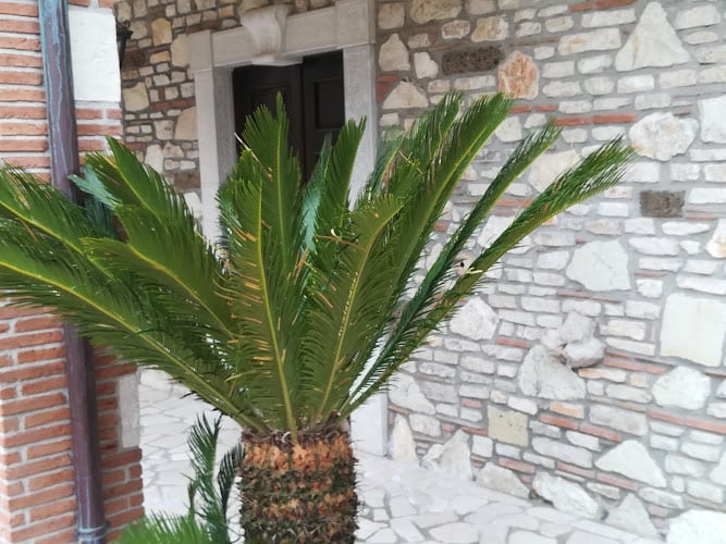 AGRITURISMO ANTICHI SAPORI di Ciotta Gerardina