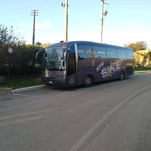 Autoservizi New Sae Noleggio Bus