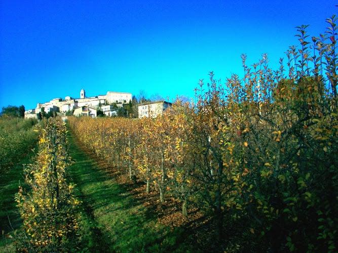 Soc. Agricola La Pietrara
