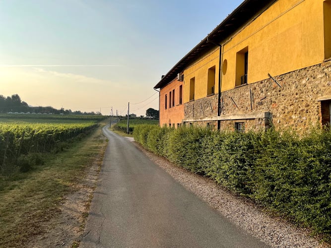 Ripa Del Bosco