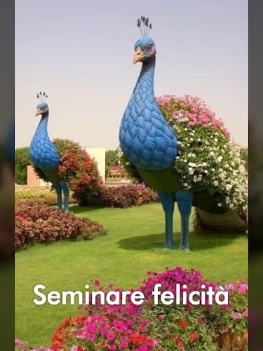 Supermercato Crai