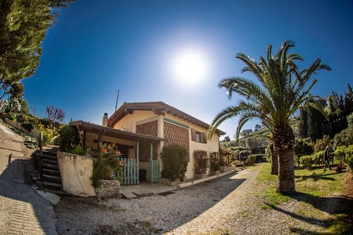 Azienda Agricola Bio "Il Lentisco"