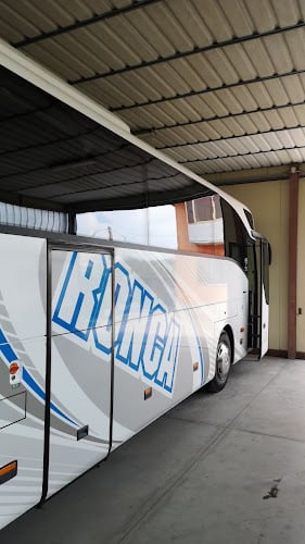 Ronca Servizi