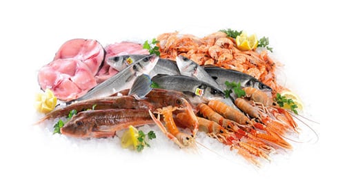 Pescheria Cadorpesca Belluno
