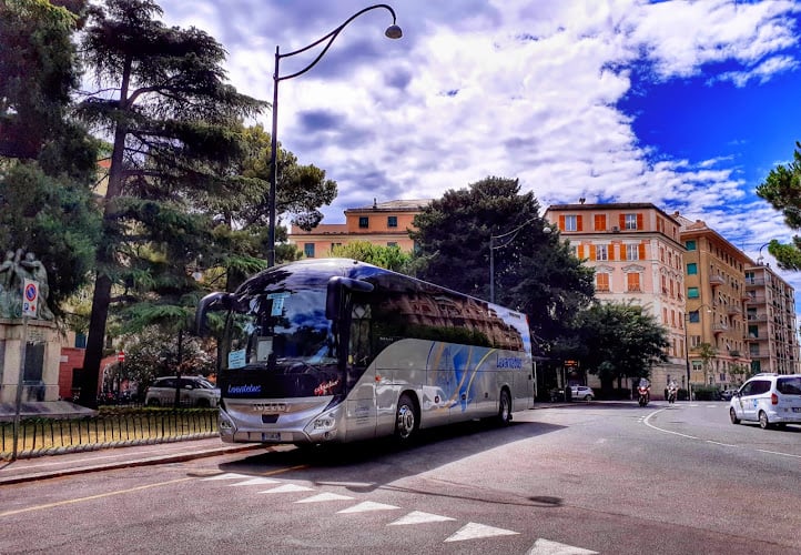 Levantebus Di Gatto Giuseppe Claudio