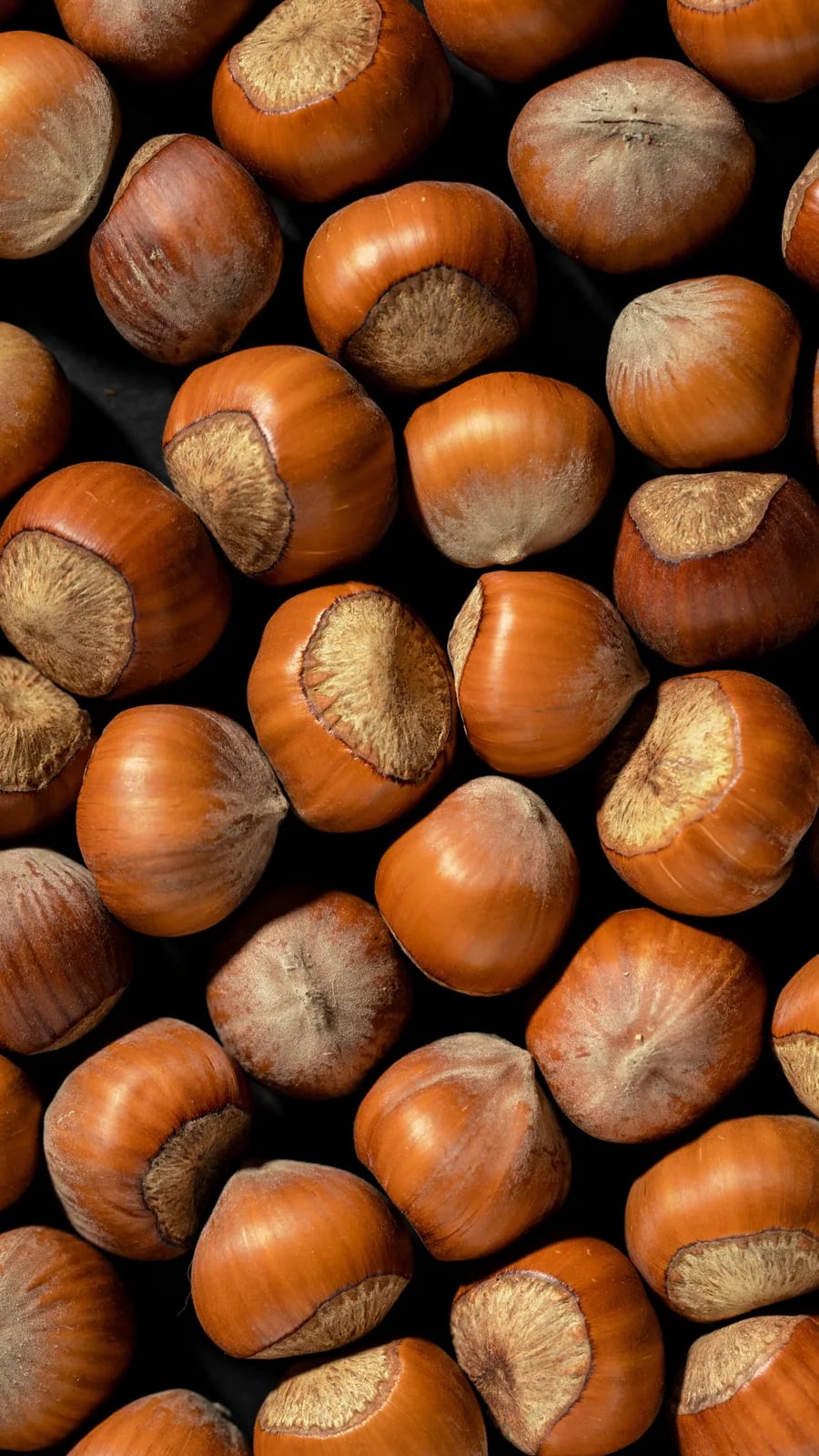 Sagra delle nocciole