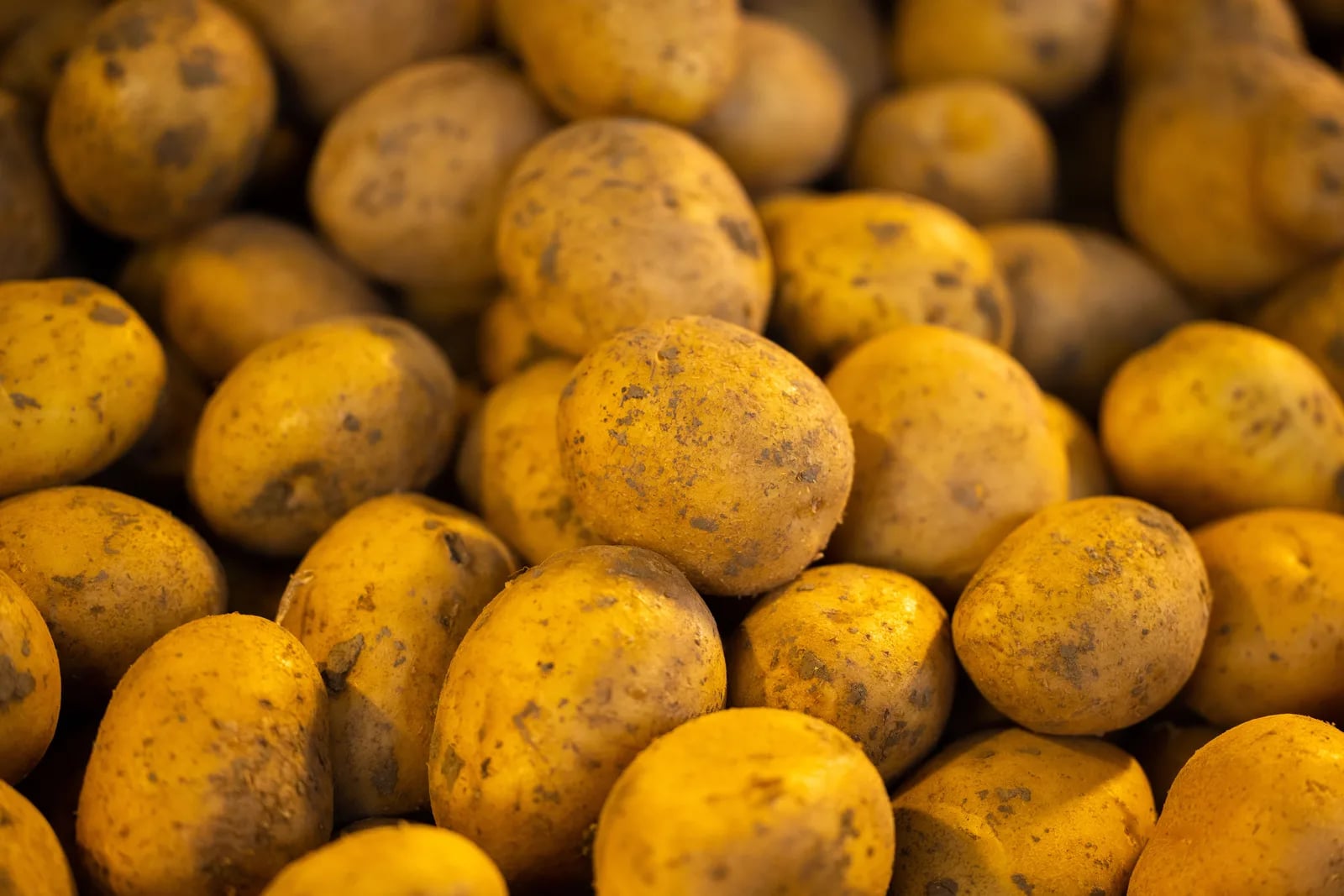 Sagra das cartufulas