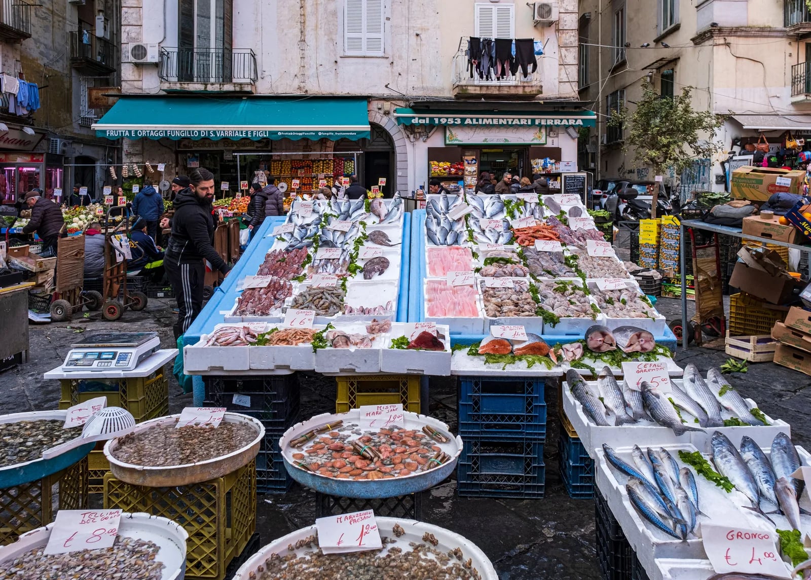 Sagra dell’uva