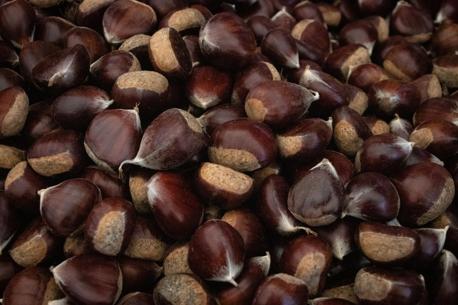 Fiera delle Castagne della Valmarecchia