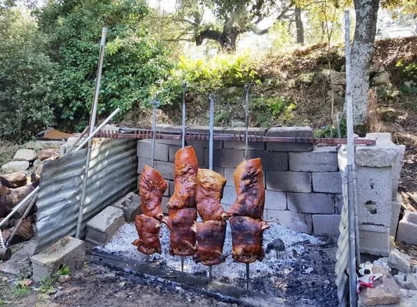 Sagra del cinghiale