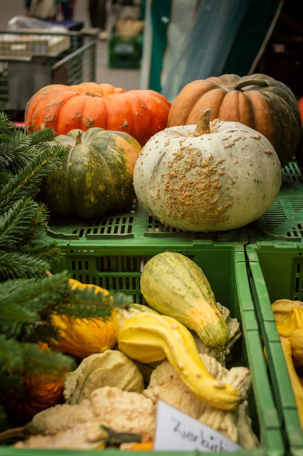 Festa della Zucca