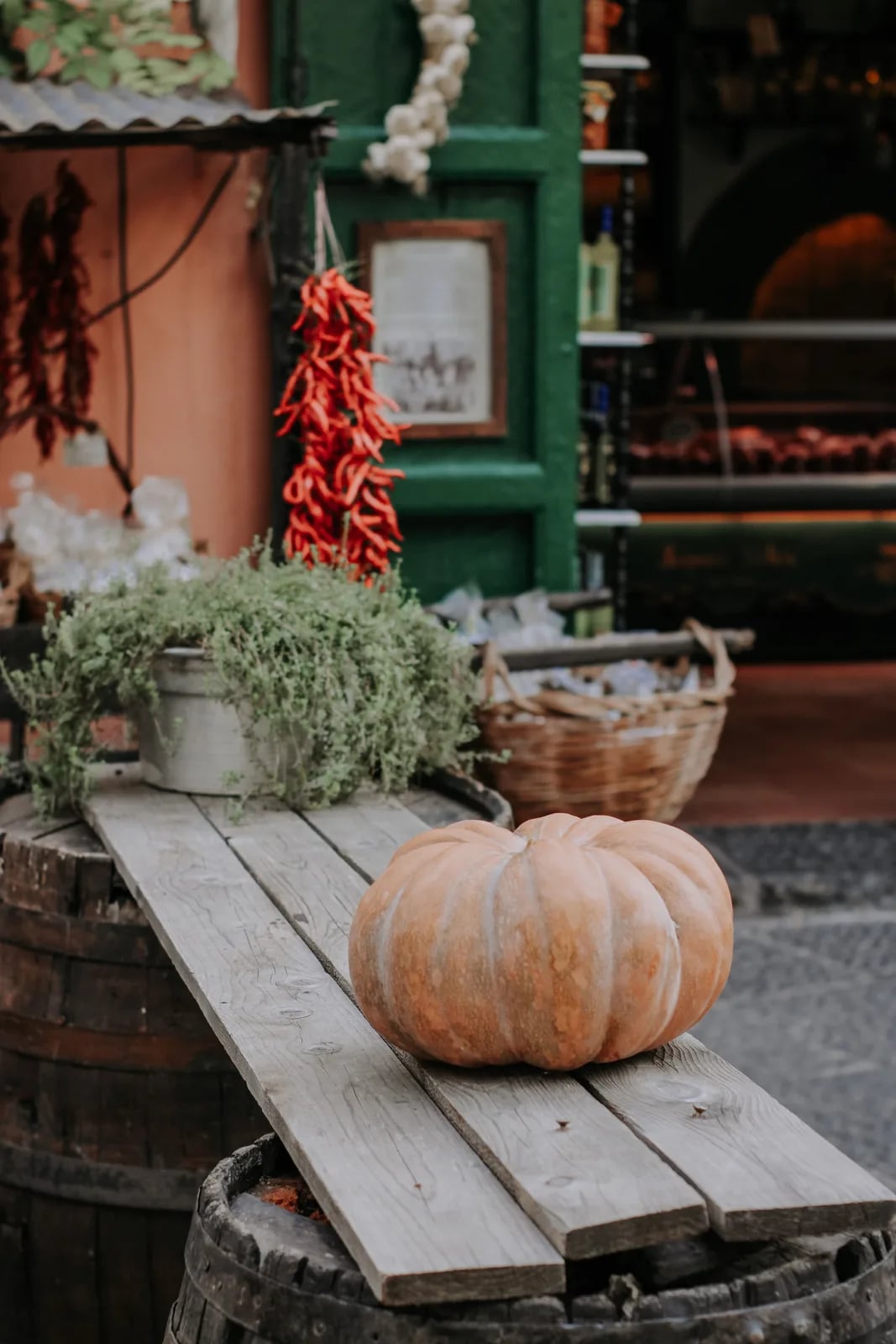 Festa dea Suca
