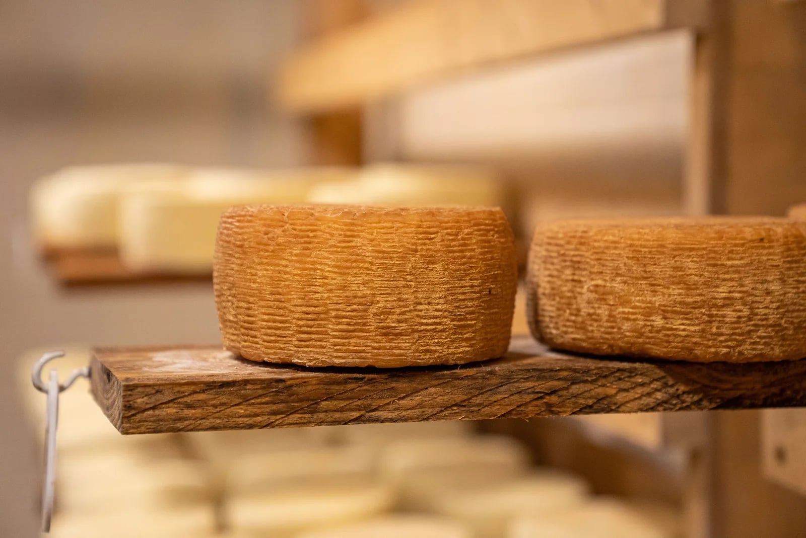 Sagra del salame cotto di Nepi e del pecorino romano del Laz