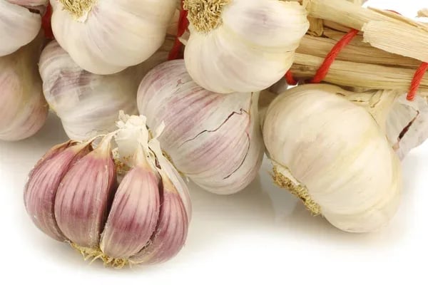 Fiera dell’aglio di Voghiera DOP