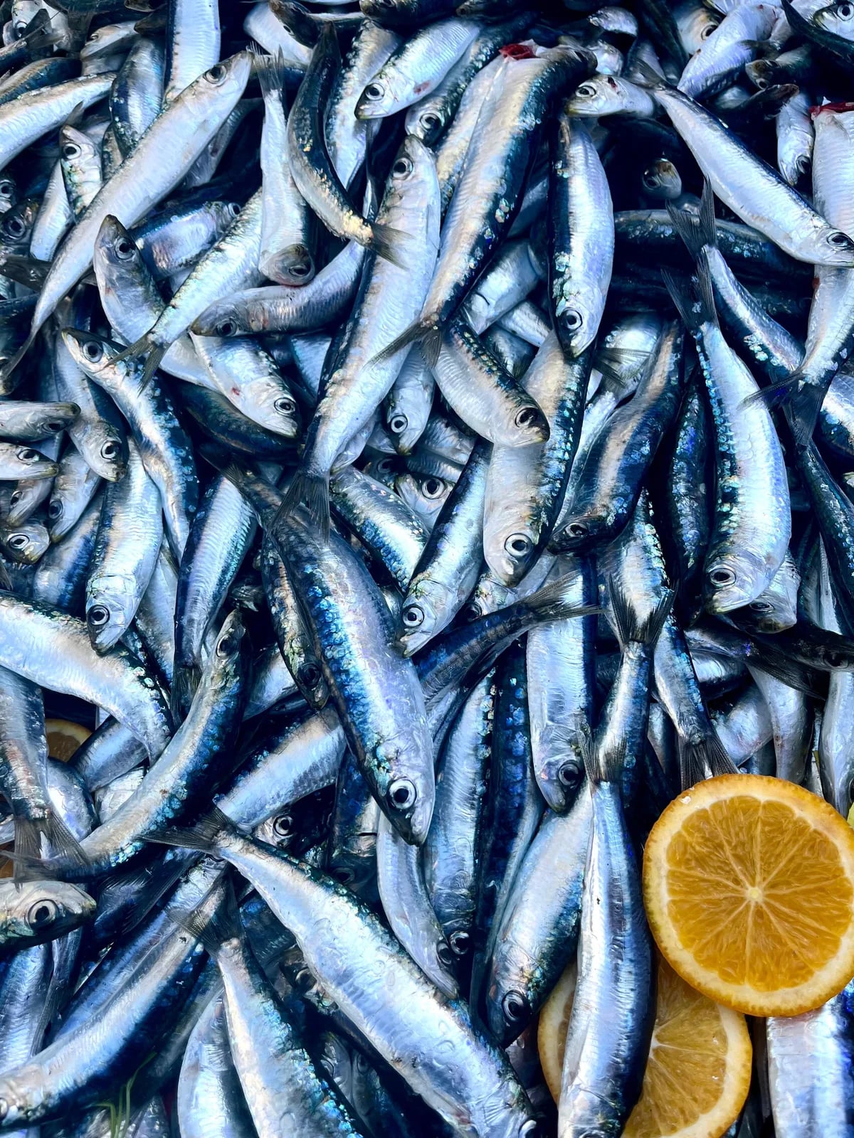 Sagra del mare flegrea