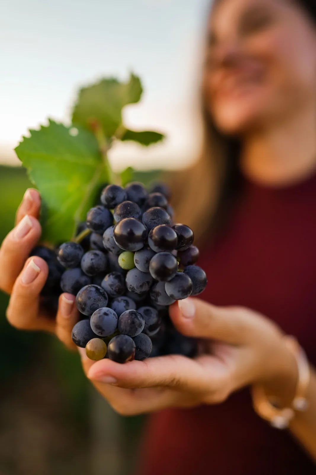 Sagra del vino