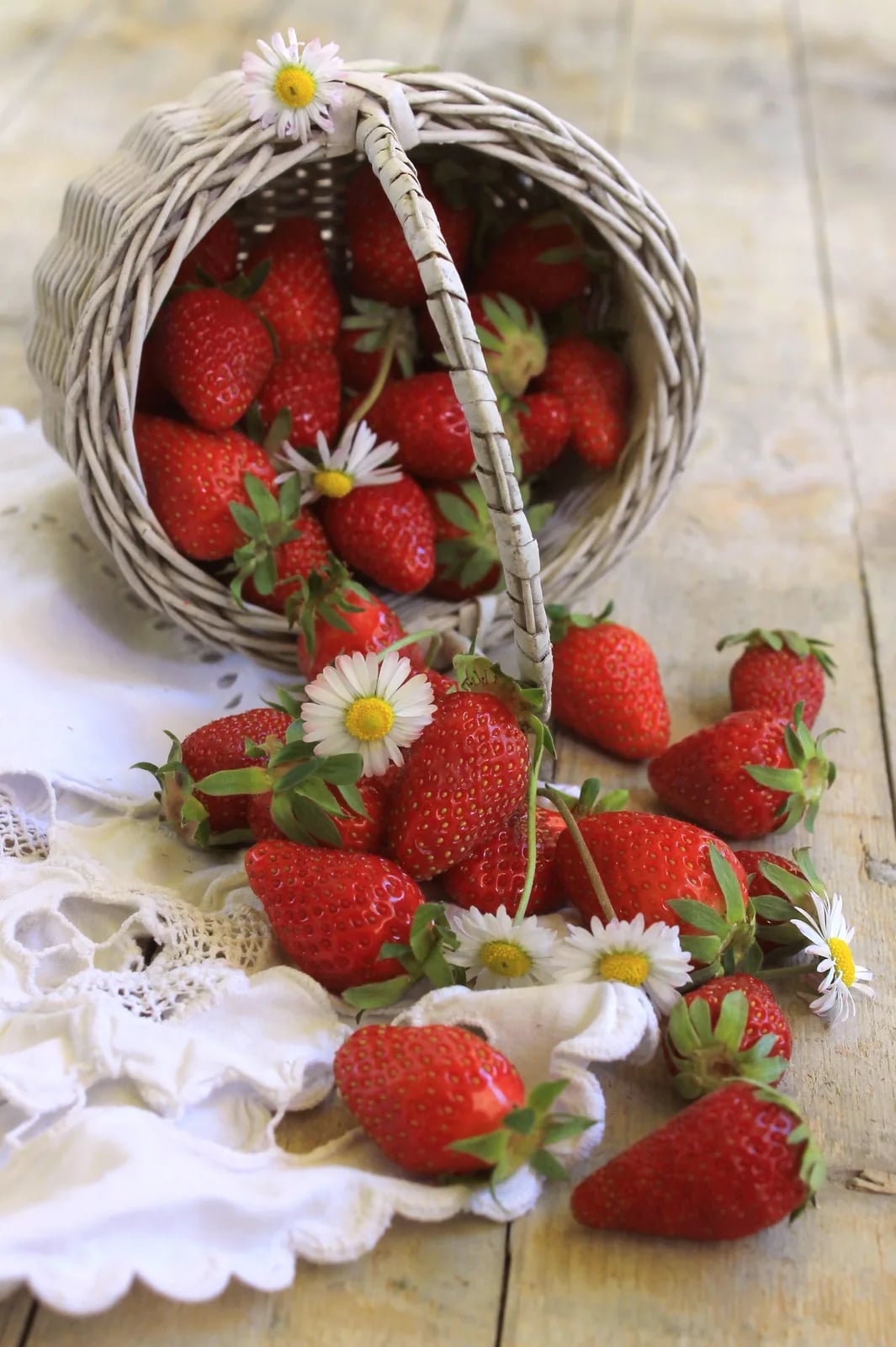 Festa della fragola, dell’ortofrutta e dei fiori