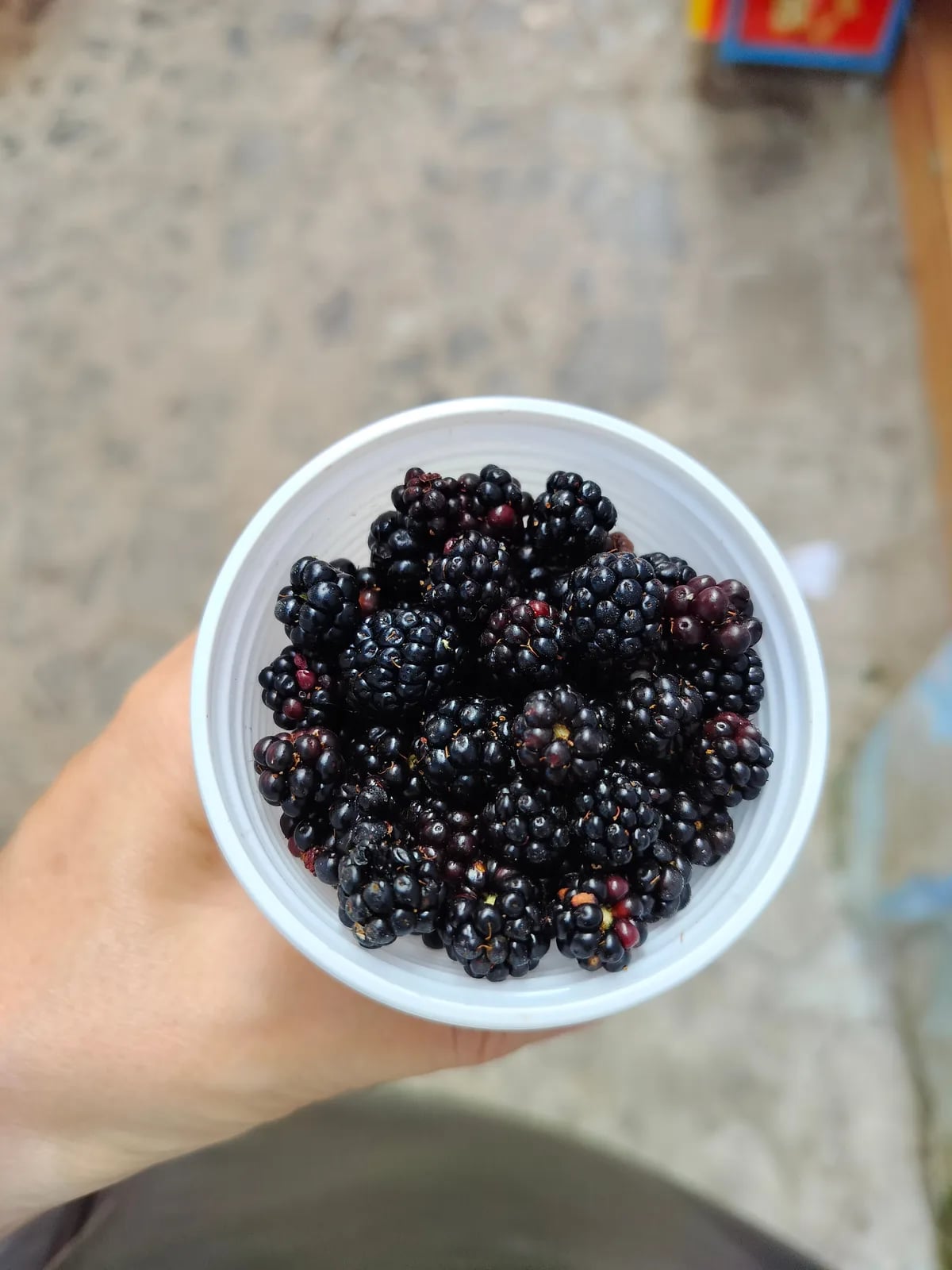 Sagra degli antichi sapori puglianesi