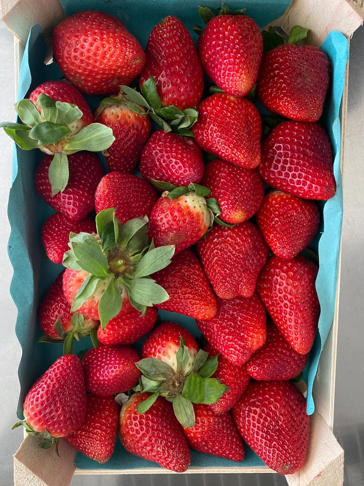 Festival della Fragola