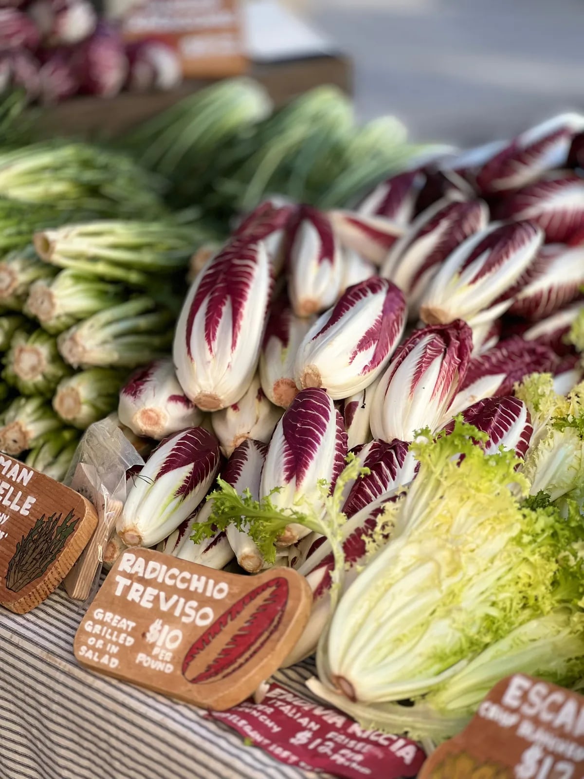 Festa del radicchio rosso di Treviso IGP