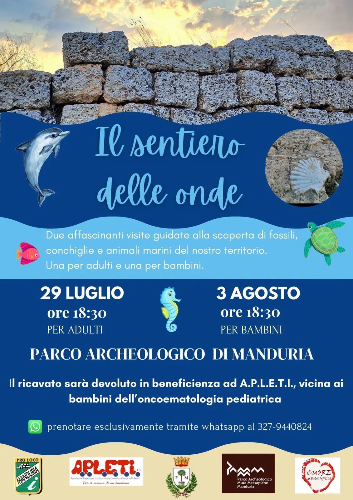 Il sentiero delle onde — Adulti 2026