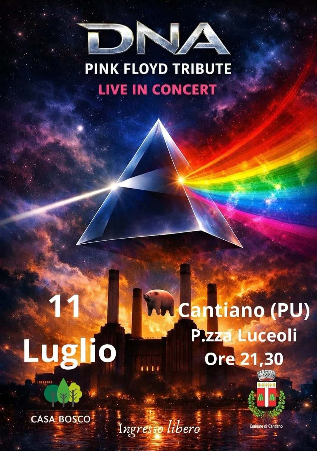 DNA Pink Floyd Tribute Live in Concert 2026