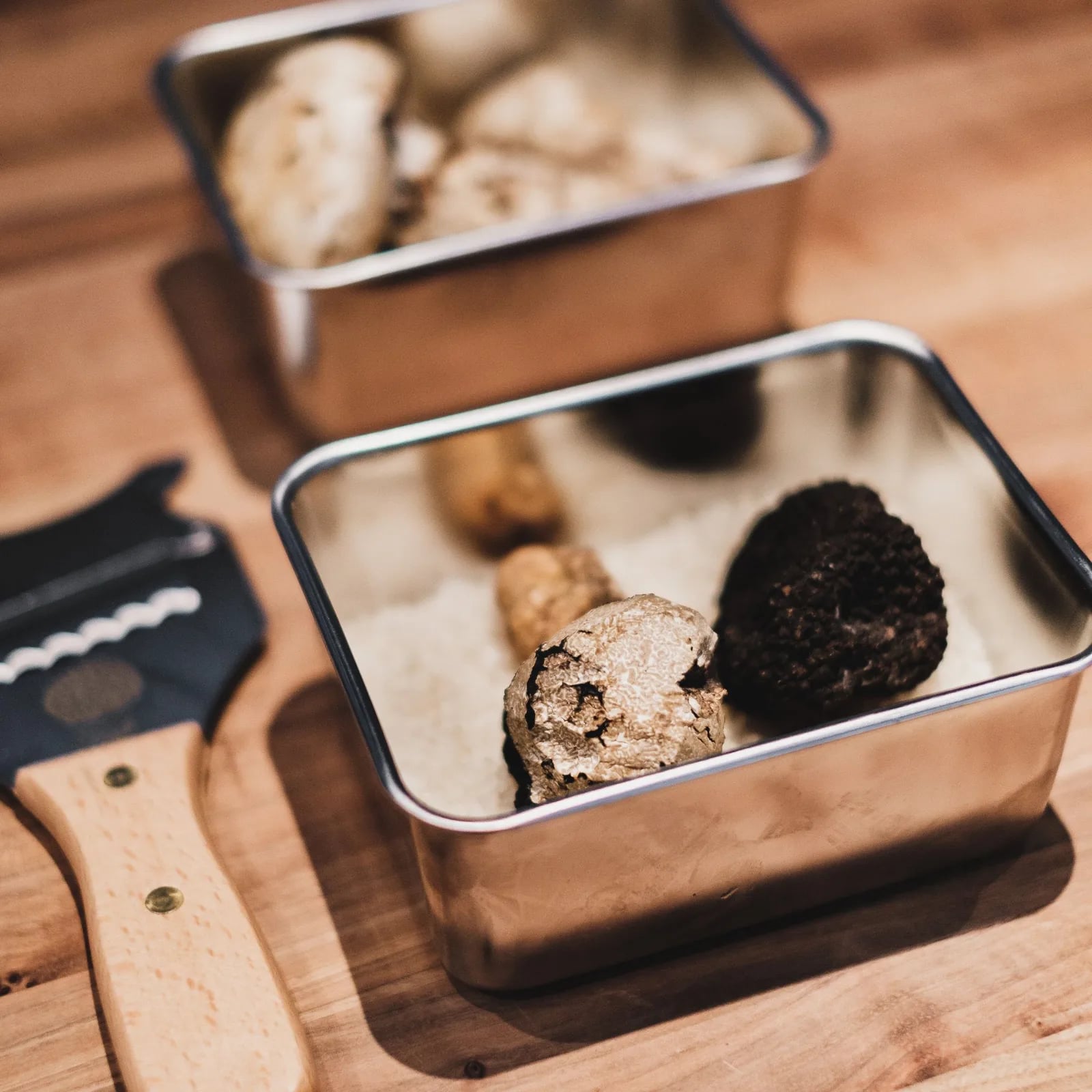 Sagra del tartufo marzuolo