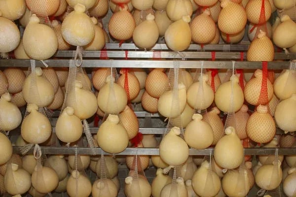 Sagra du cascavaddu