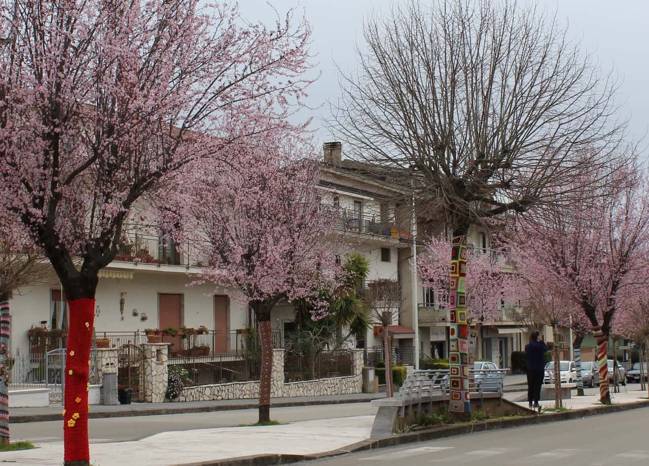 Viale Yarn bombing