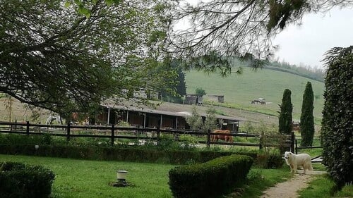 Tenuta Agricola Fonte di Papa
