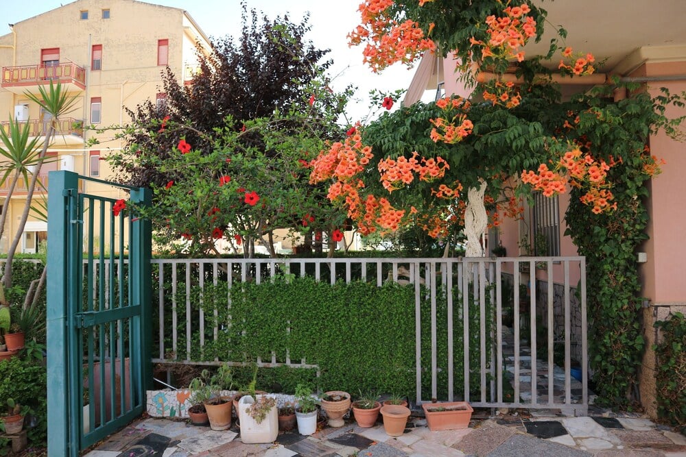 B&B Macalube