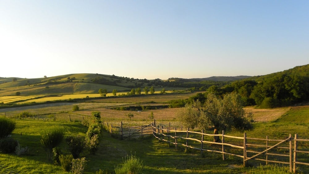 MACCHIABUIA