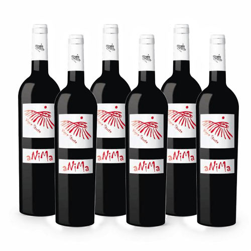Anima Rosso Beneventano IGP - 6 bottiglie - Vigne Storte