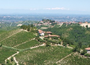 Cascina Bricchetto Langhe