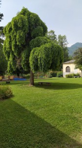 Ostello Villa Olanda