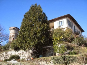 B&B La bustina di zucchero