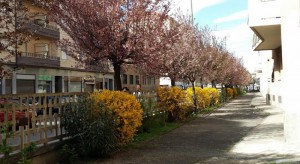 B&B Il Sole e La Luna