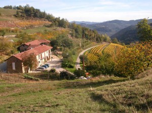 Agriturismo Affittacamere Cascina Monsignore