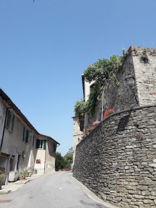 Poggio delle Erbe