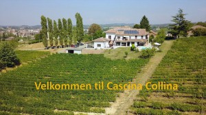 Cascina Collina